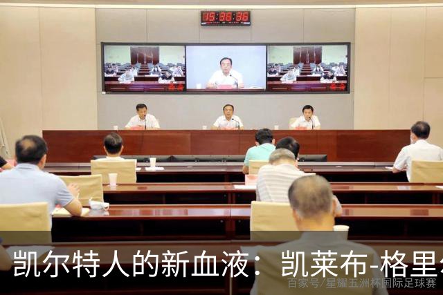 凯尔特人的新血液：凯莱布-格里尔加盟训练营